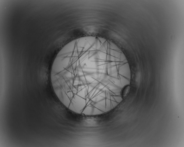 X0000089350710200706291021