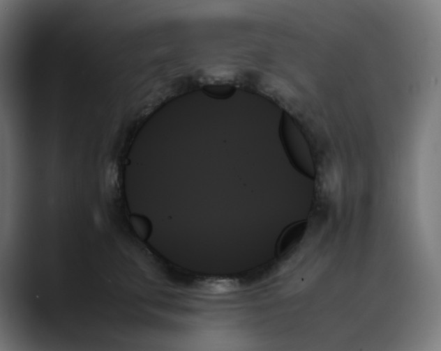 X0000089350711200706291021