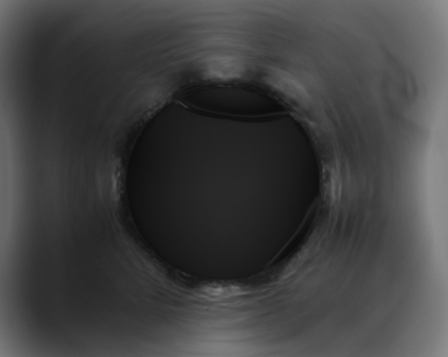 X0000089350712200706291021