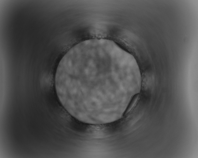 X0000089350713200706291021