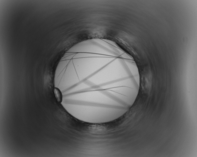 X0000089350714200706291021