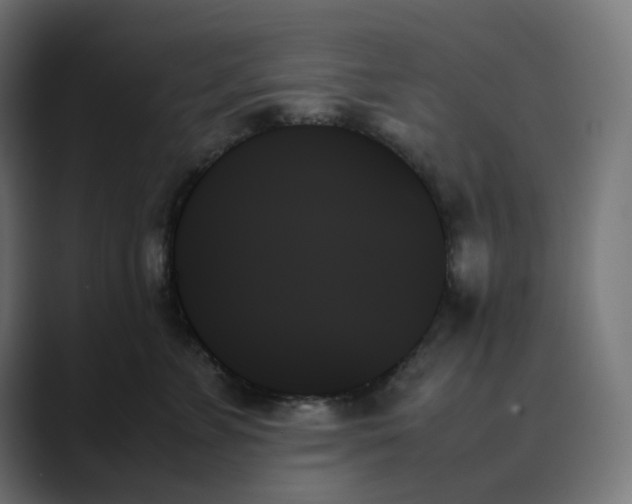 X0000089350715200706291021