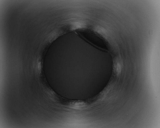X0000089350716200706291021