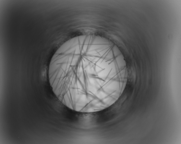 X0000089350717200706291021