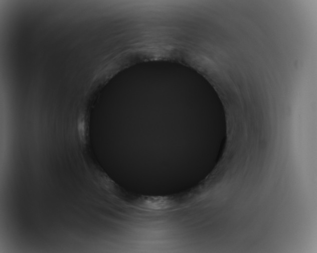 X0000089350720200706291021