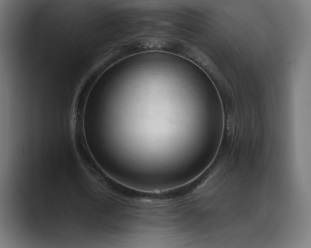 X0000089350722200706291020