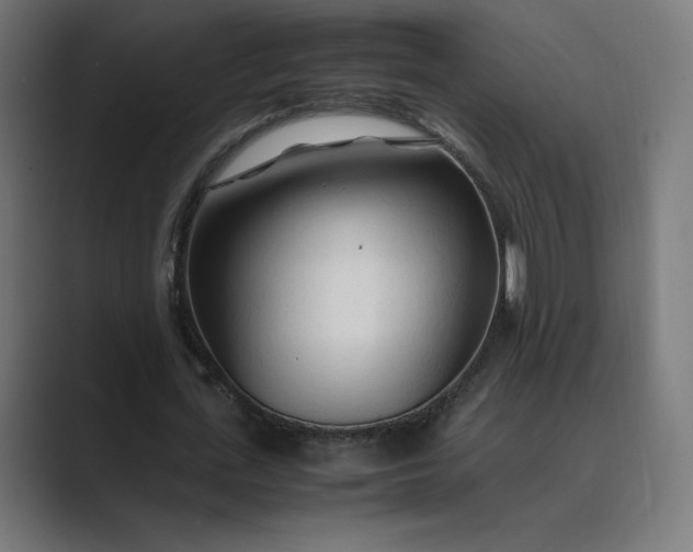 X0000089350723200706291020