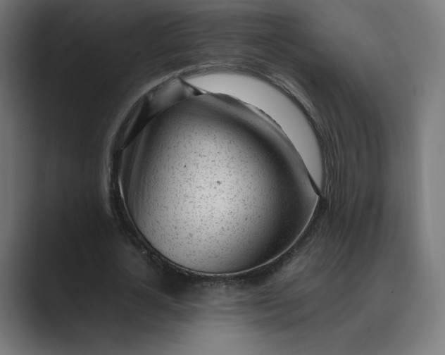 X0000089350724200706291020