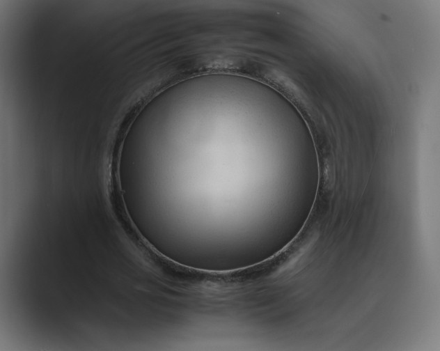 X0000089350725200706291020