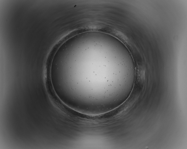 X0000089350726200706291021