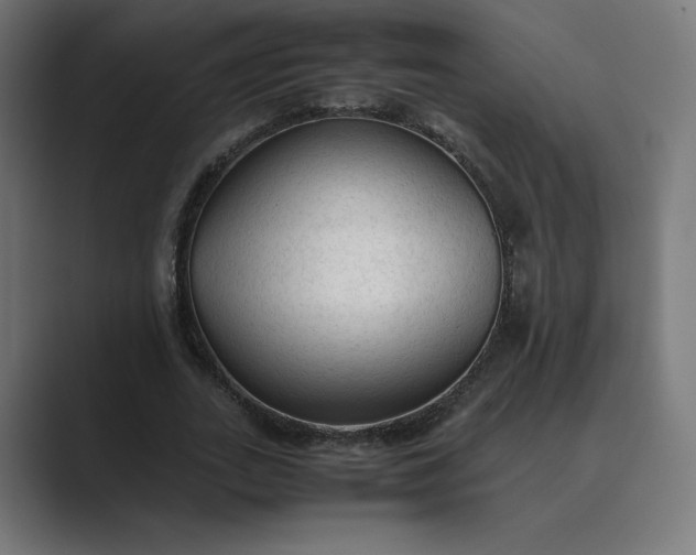 X0000089350727200706291021