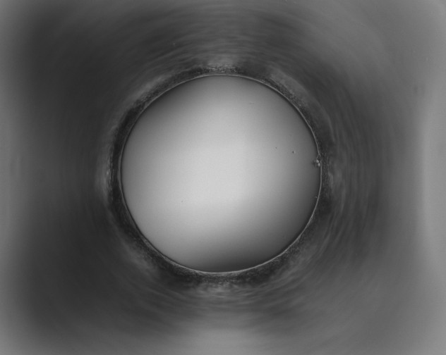 X0000089350728200706291021