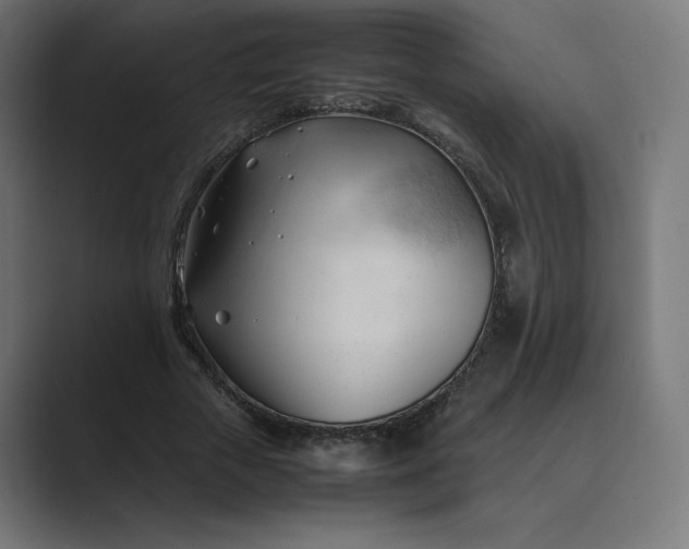 X0000089350729200706291021
