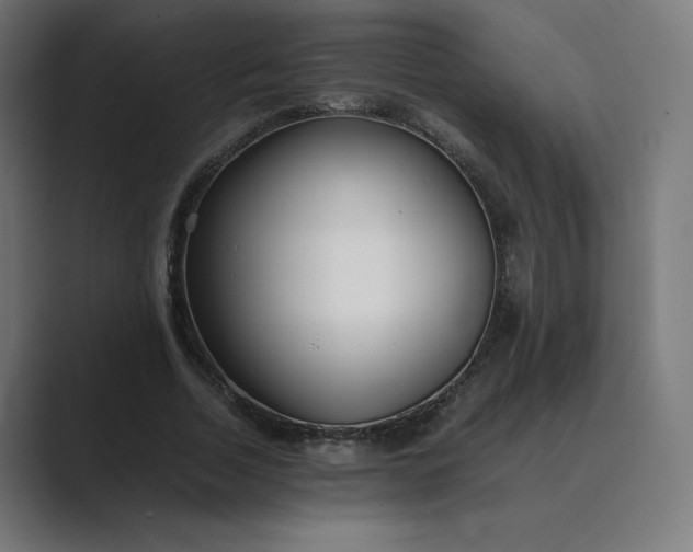 X0000089350730200706291021