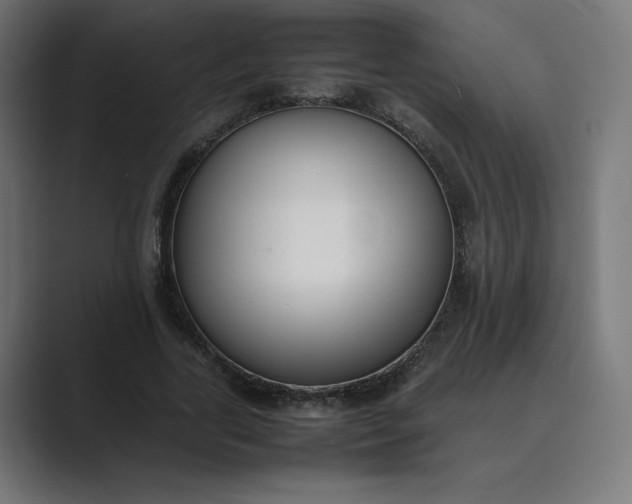 X0000089350731200706291021