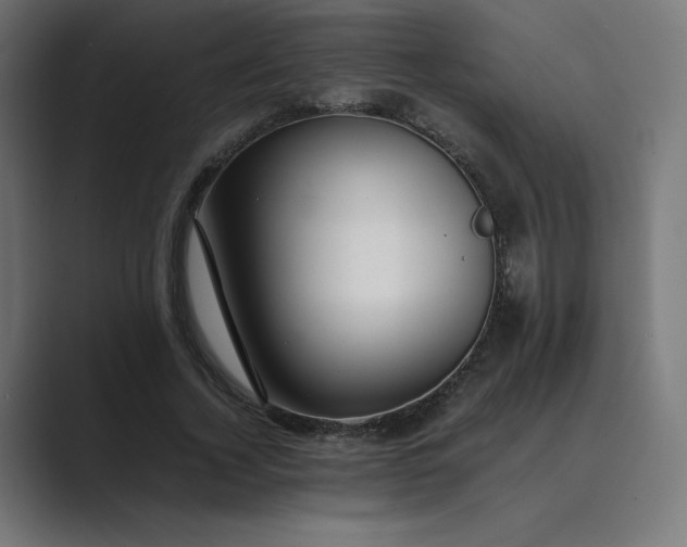 X0000089350732200706291021