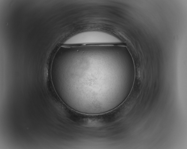 X0000089350733200706291021