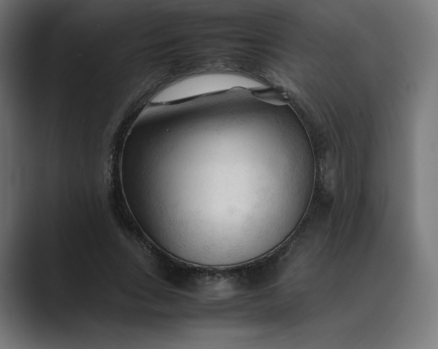 X0000089350735200706291021