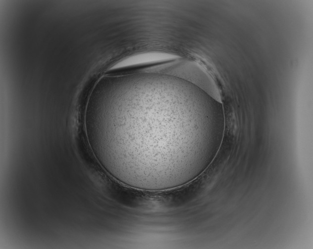 X0000089350736200706291021