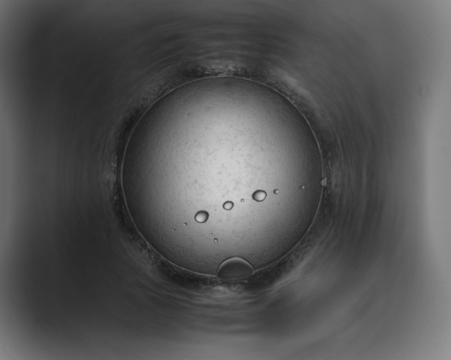 X0000089350737200706291021