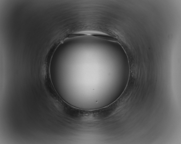 X0000089350740200706291021