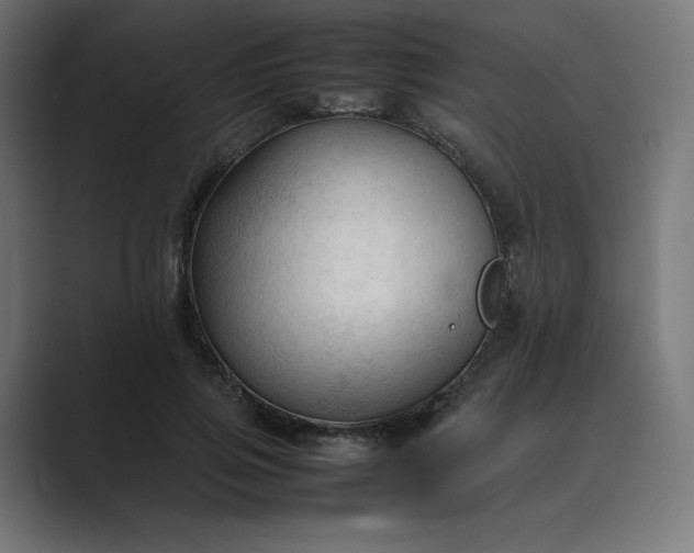 X0000089350741200706291021