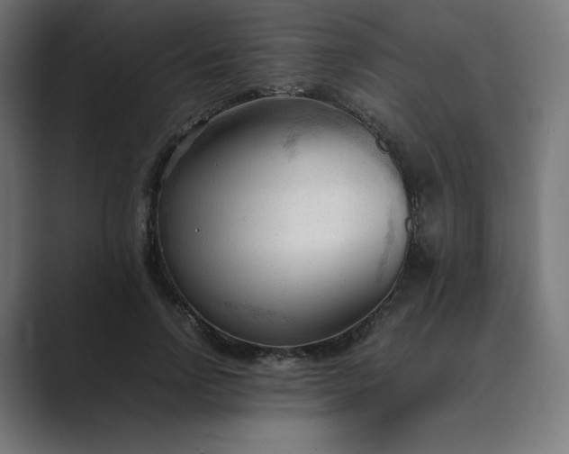 X0000089350742200706291021