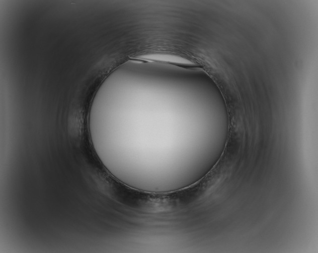 X0000089350744200706291021
