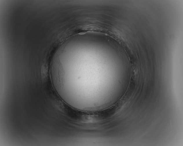 X0000089350745200706291021