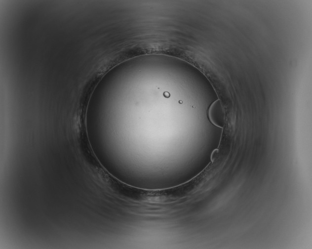 X0000089350746200706291021