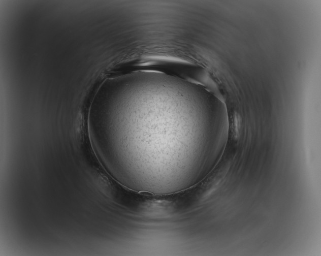 X0000089350748200706291021