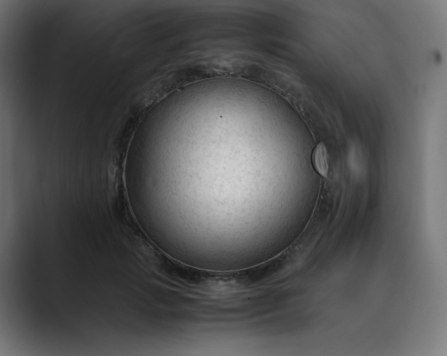 X0000089350749200706291021