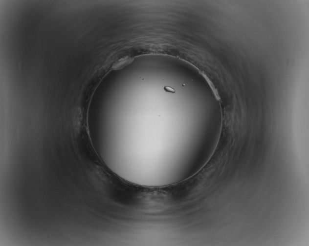 X0000089350752200706291021