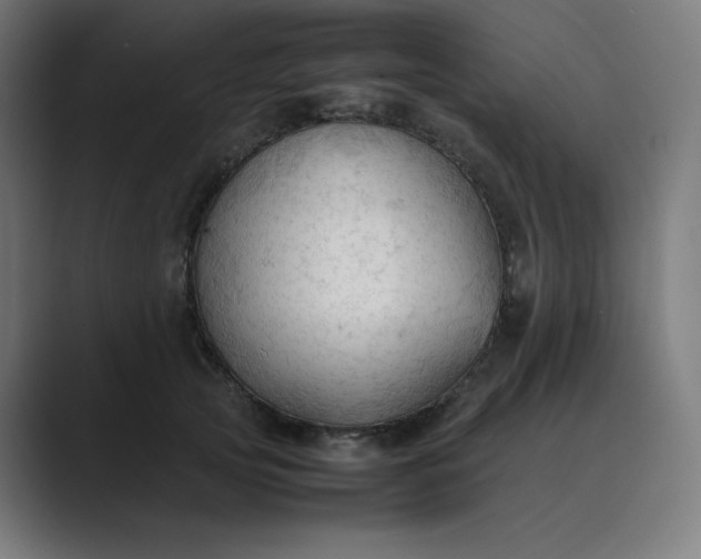 X0000089350753200706291021
