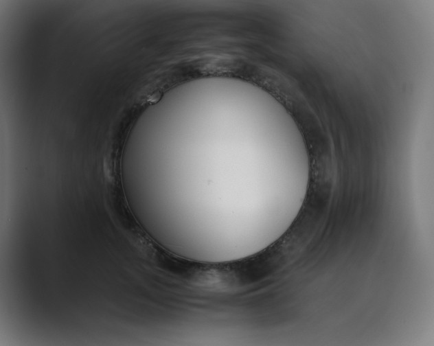 X0000089350755200706291021