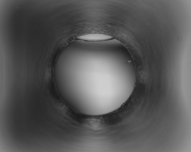 X0000089350756200706291021