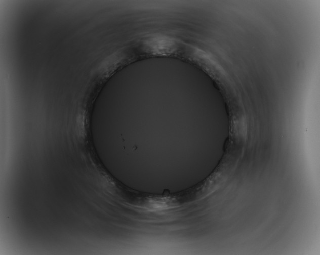 X0000089350757200706291021