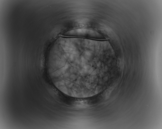 X0000089350760200706291021