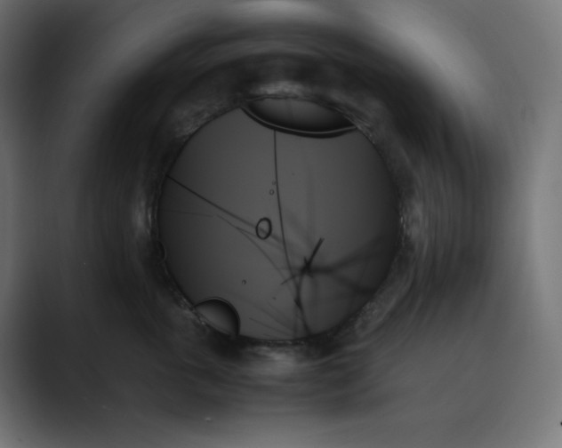 X0000089350763200706291021