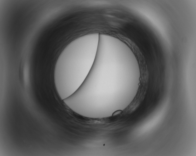 X0000089350765200706291021