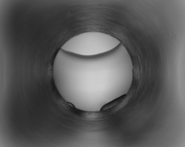 X0000089350766200706291021