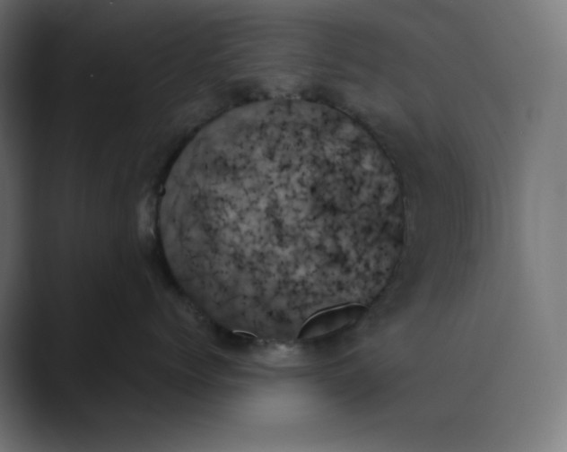 X0000089350768200706291021