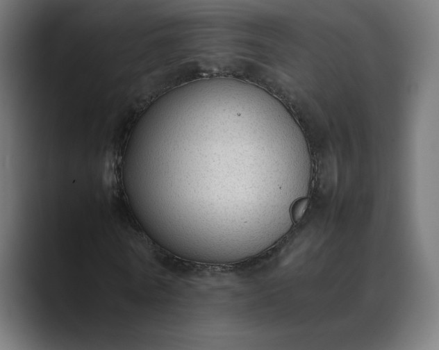 X0000089350770200706291020