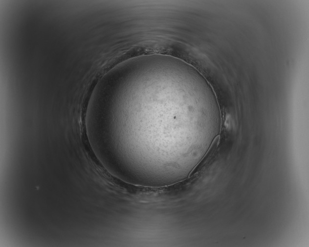 X0000089350771200706291020