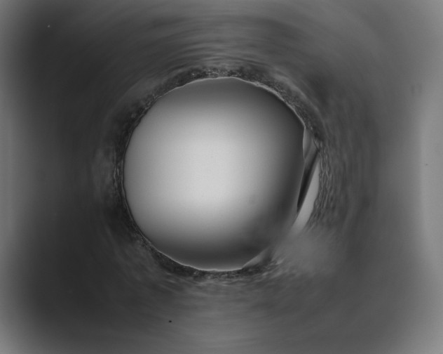 X0000089350773200706291020