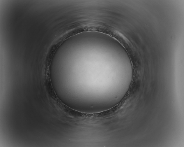 X0000089350775200706291020