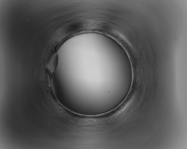 X0000089350777200706291020