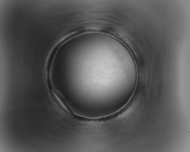 X0000089350779200706291020