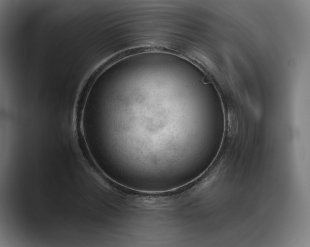 X0000089350780200706291020
