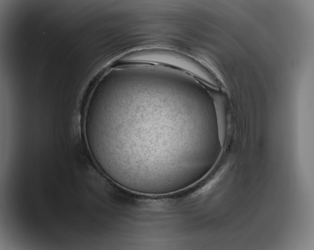 X0000089350781200706291020